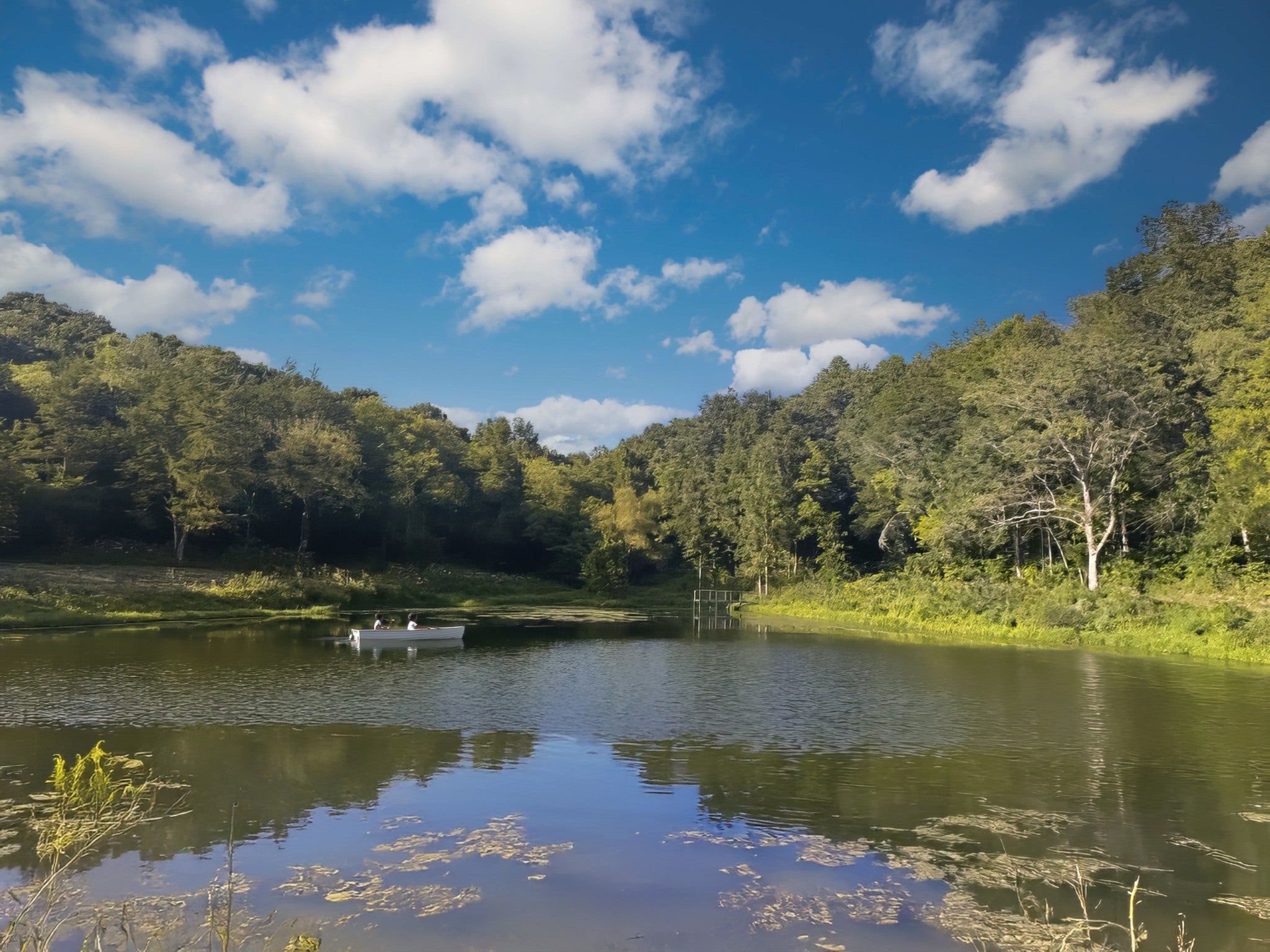 Photo of Listing #2994942