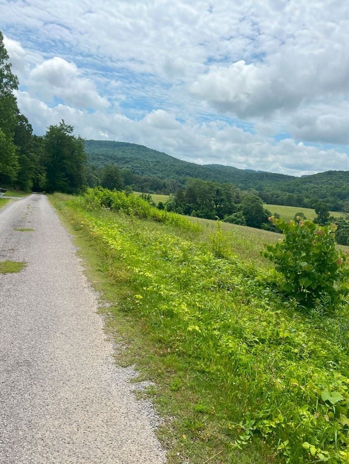 Photo of Listing #3001151