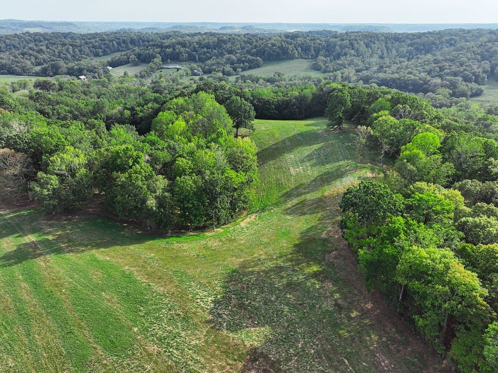 Photo of Listing #3001990