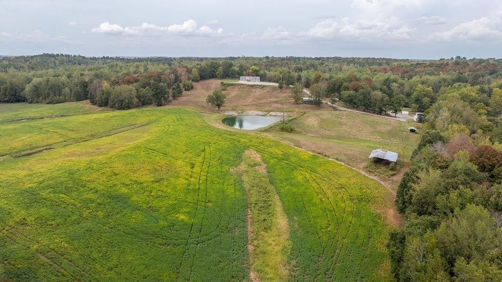 Photo of Listing #3002385