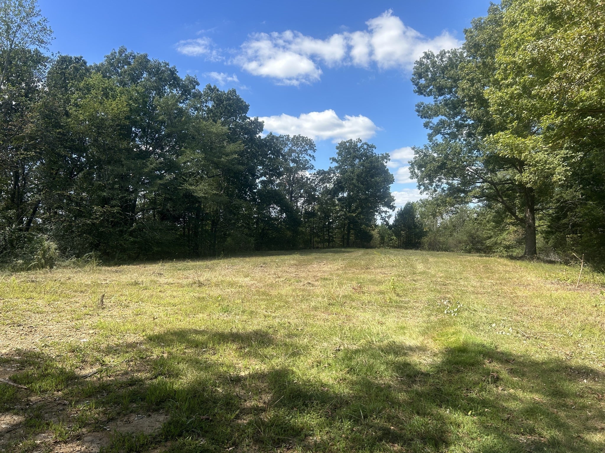 Photo of Listing #3003371