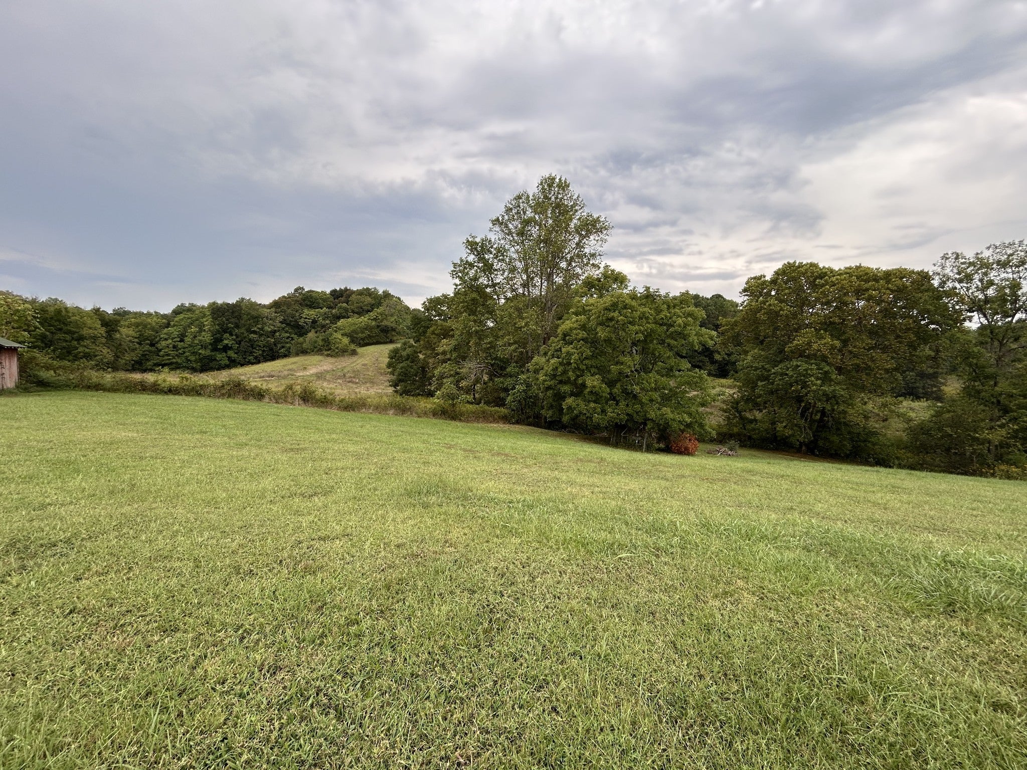 Photo of Listing #3007250