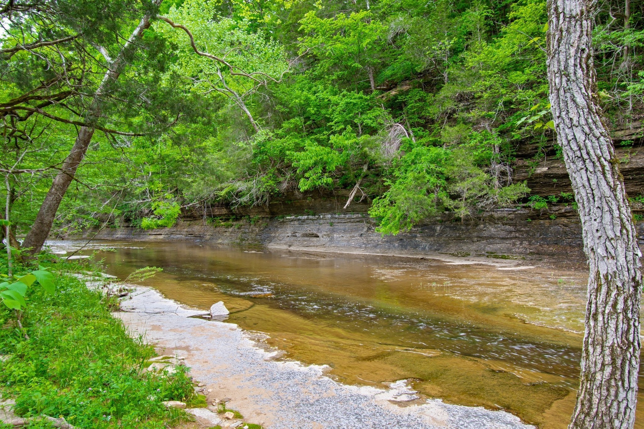 Photo of Listing #3007458