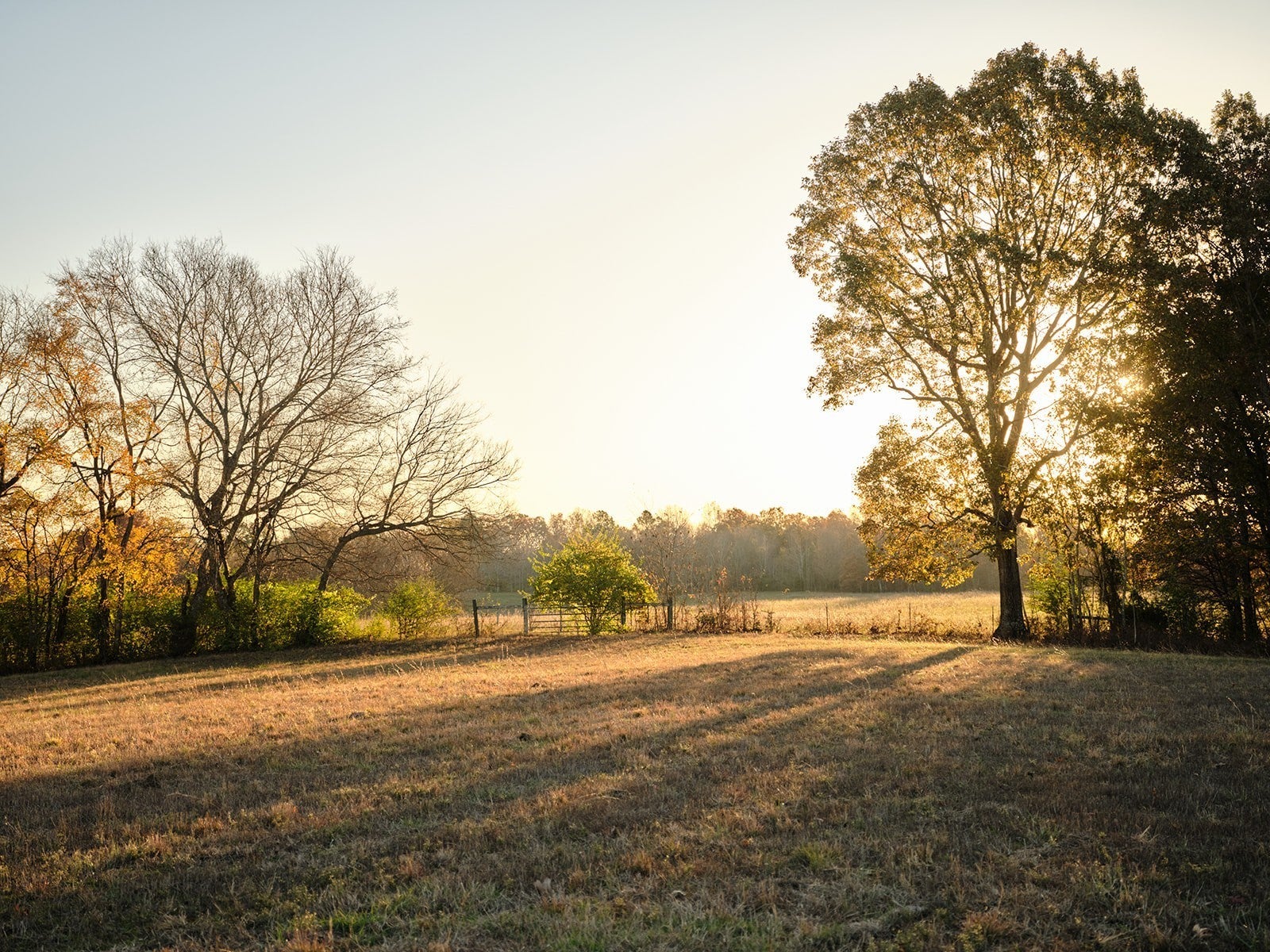 Photo of Listing #3007694