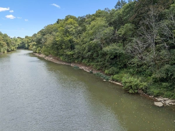 Photo of Listing #3009141