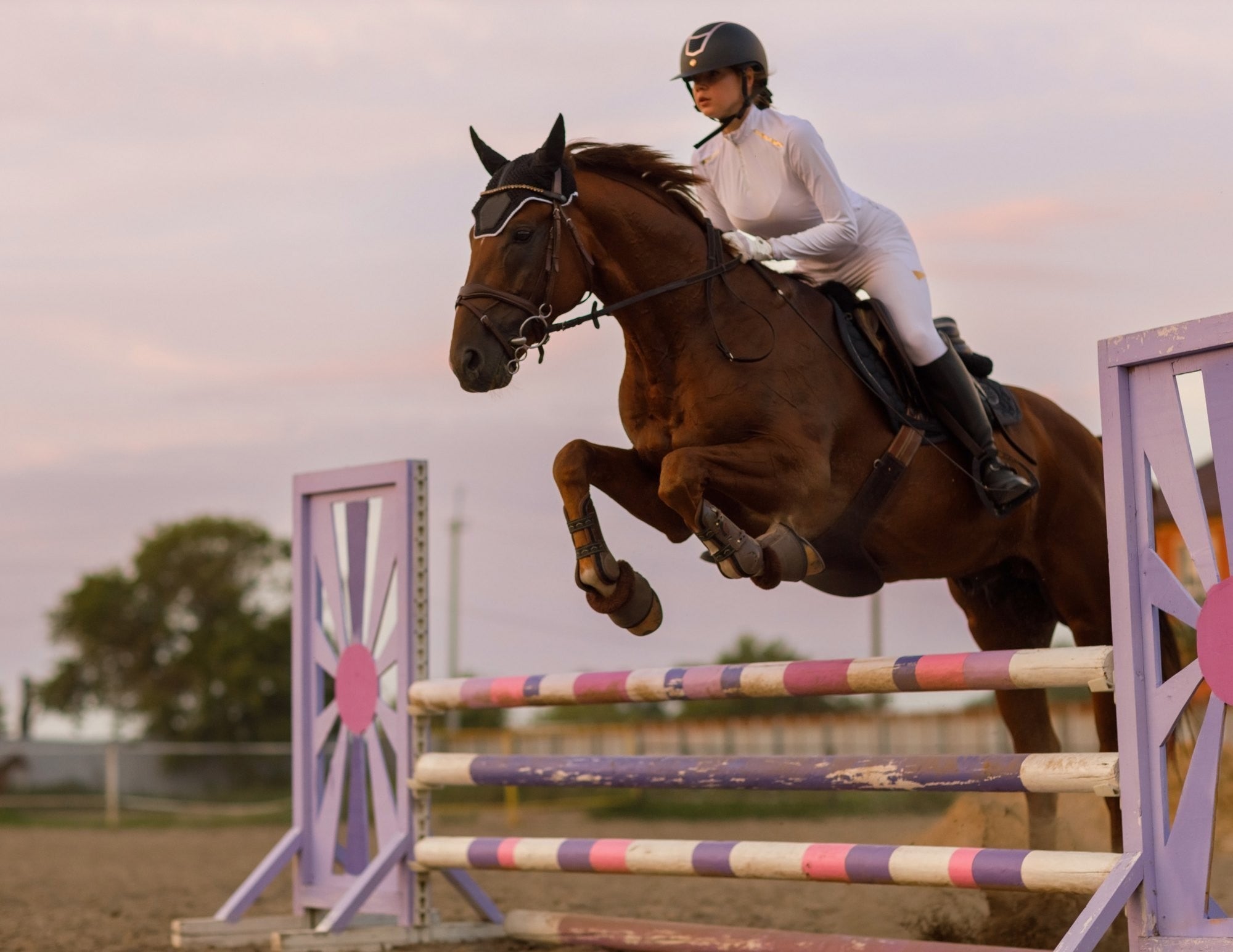 Photo of Listing #3011955