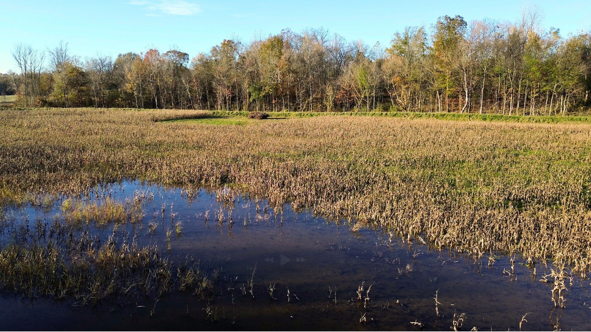 Photo of Listing #3013206