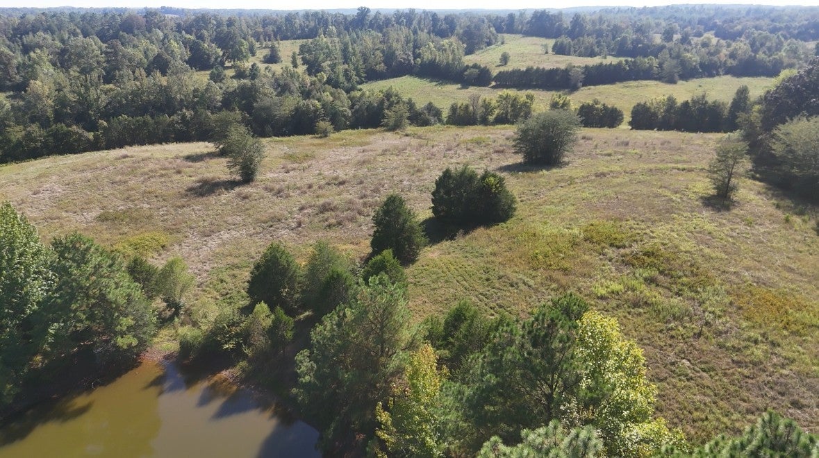 Photo of Listing #3014716