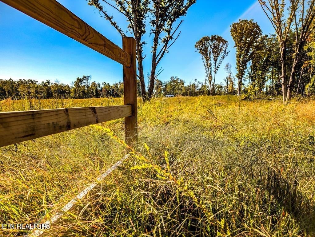 Photo of Listing #3015485