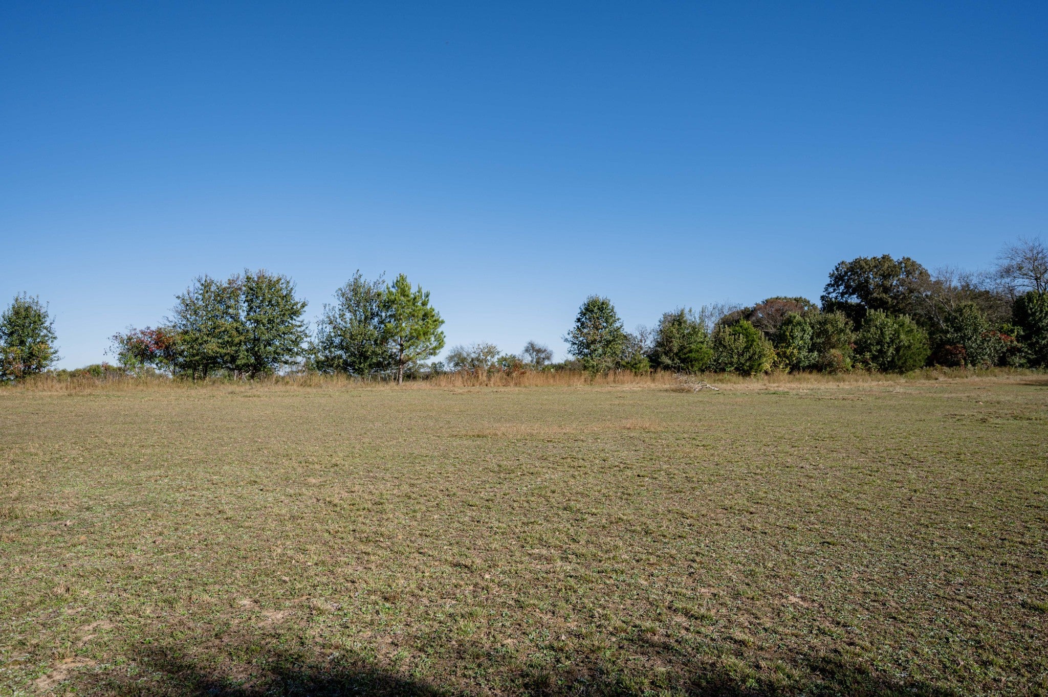 Photo of Listing #3017694