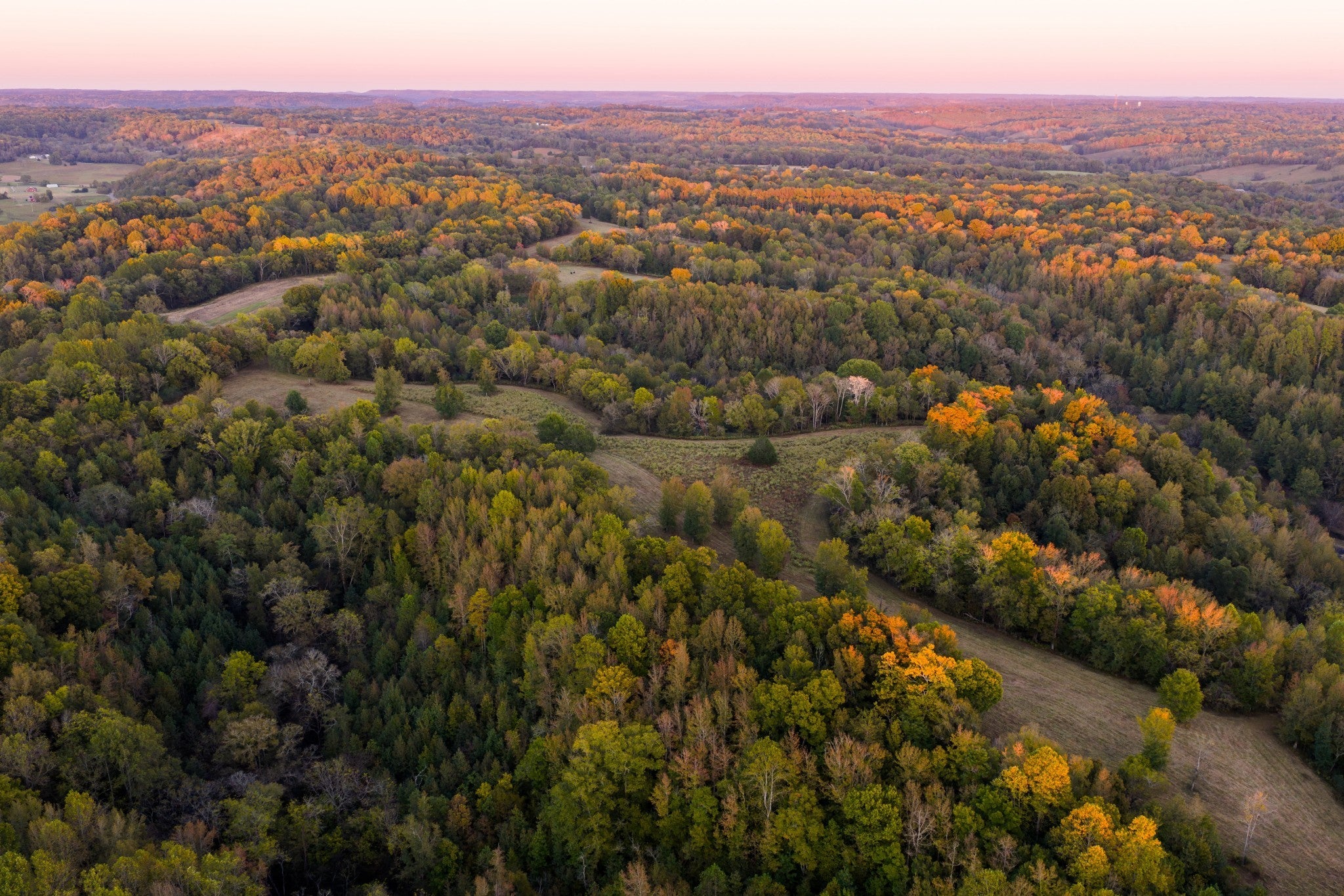 Photo of Listing #3027128