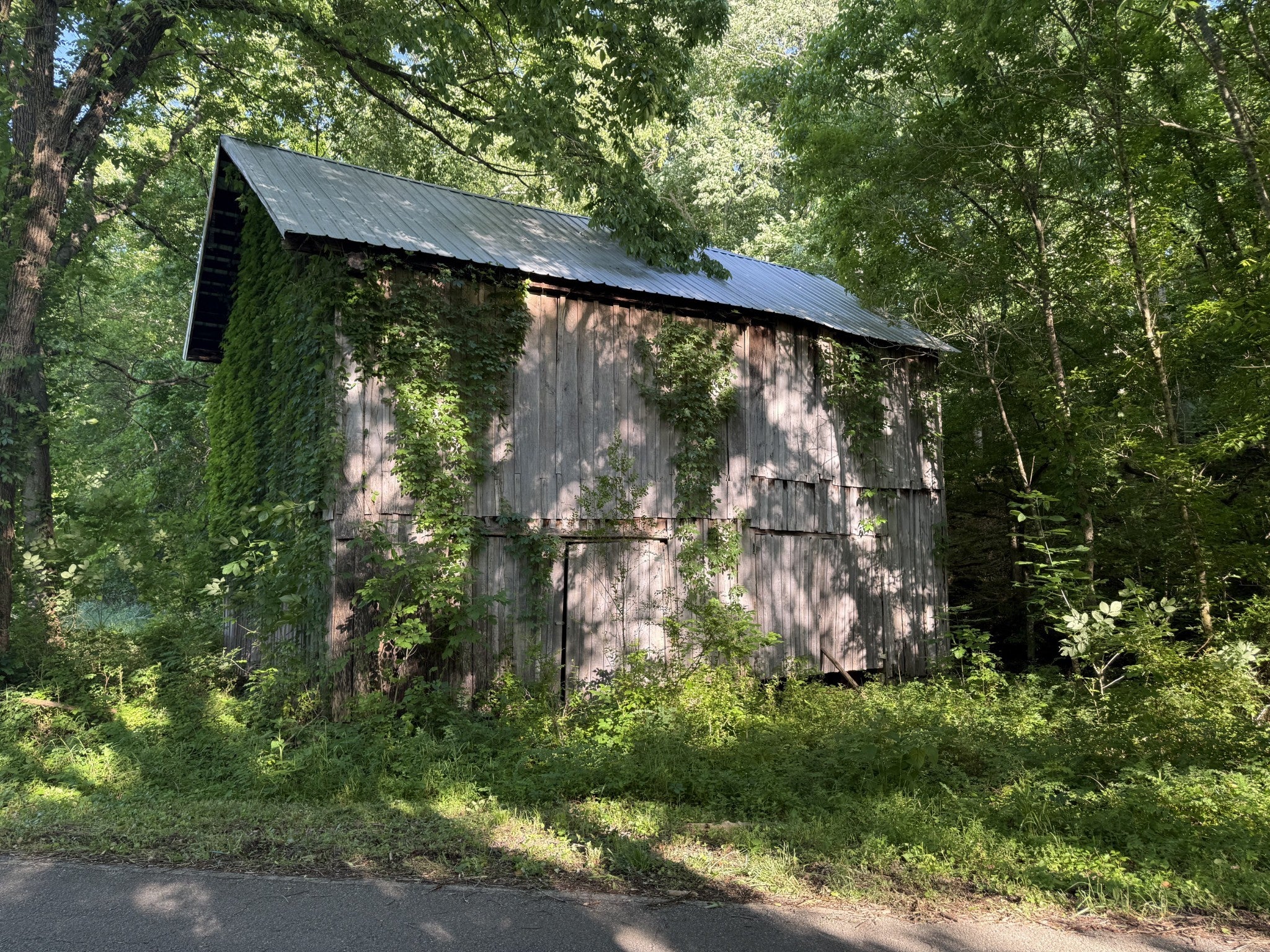 Photo of Listing #3030472