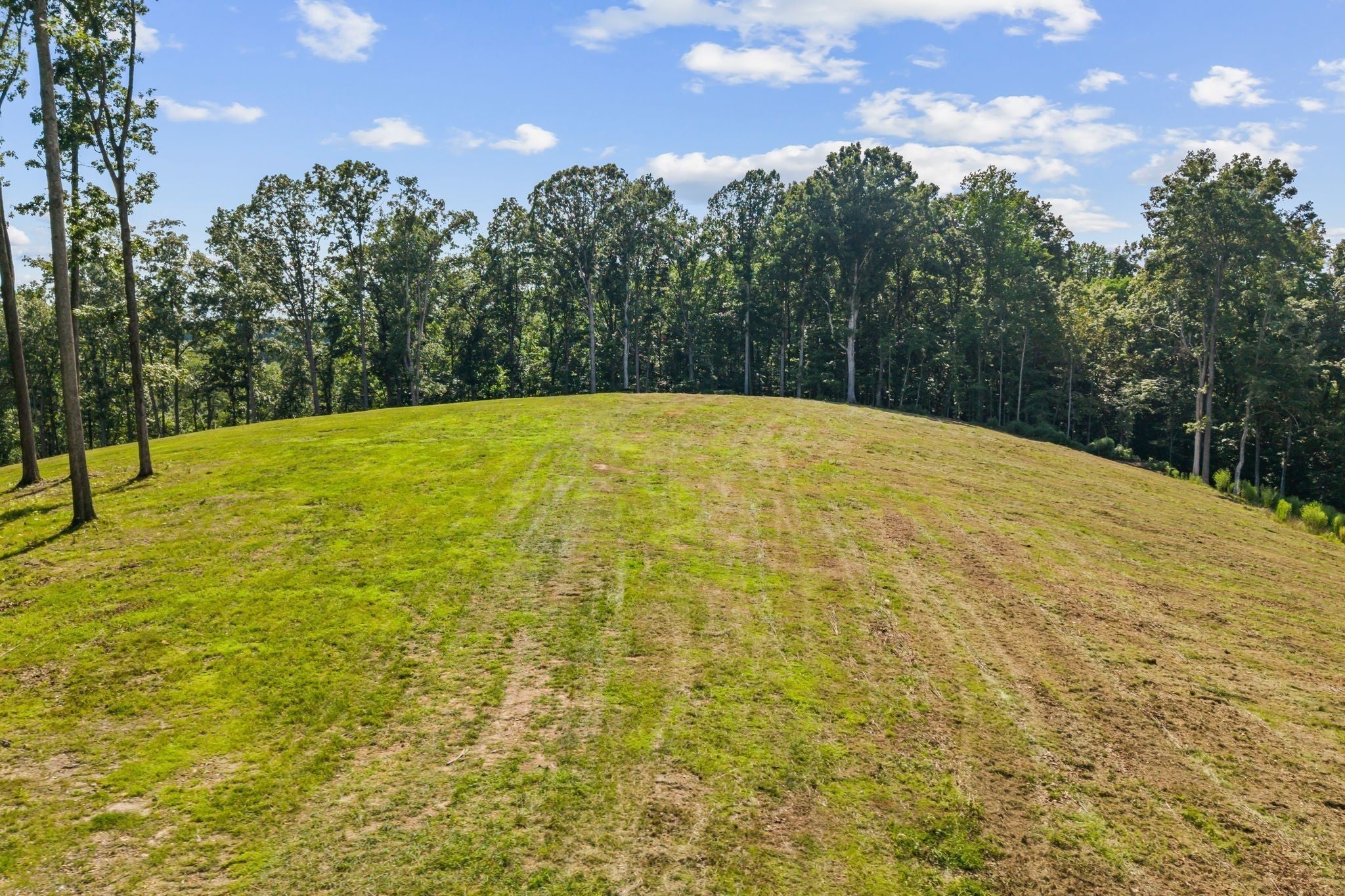 Photo of Listing #3030648