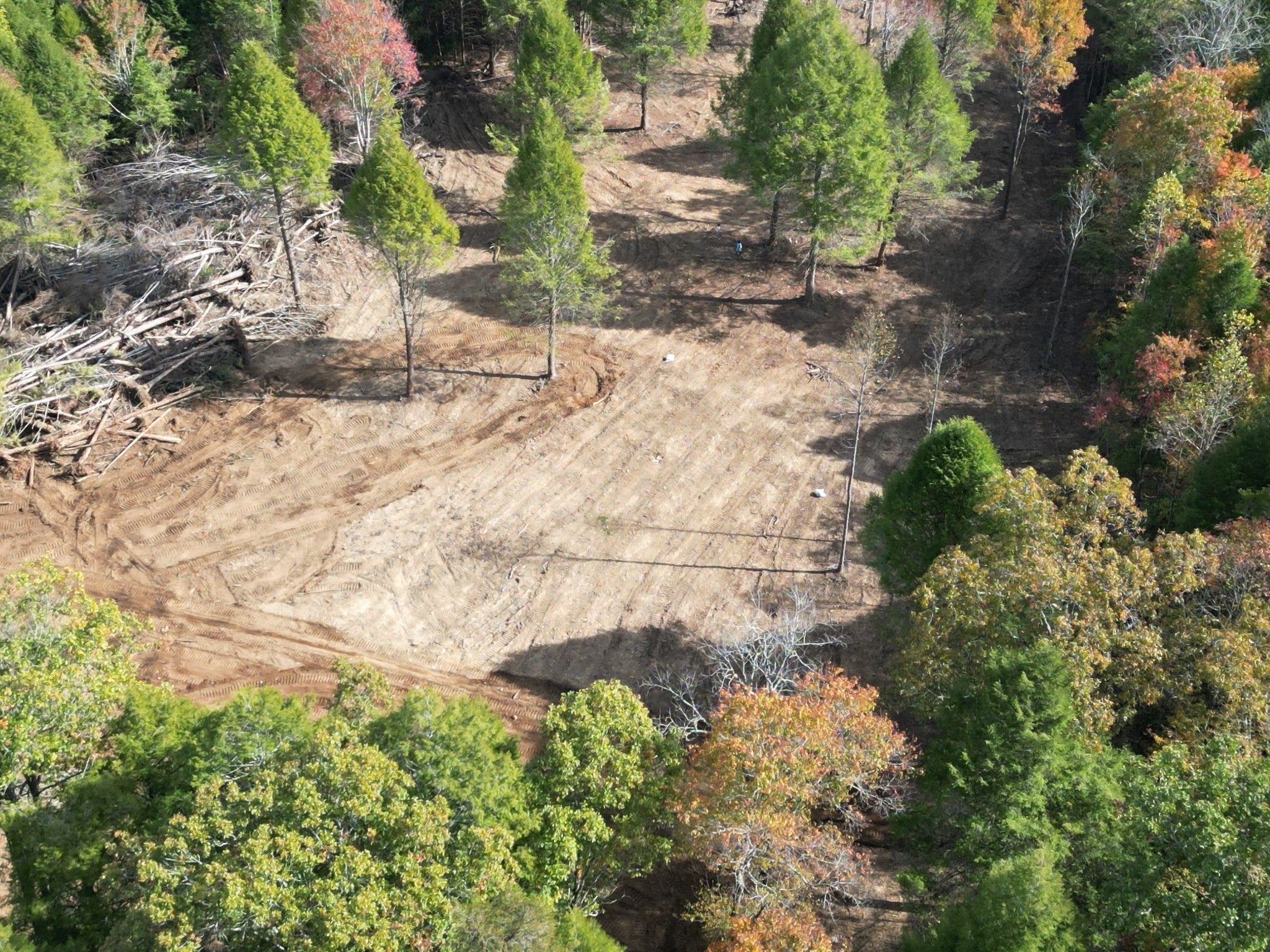 Photo of Listing #3030771