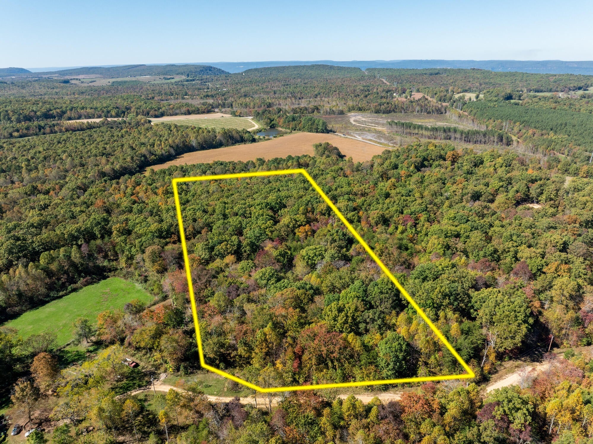 Photo of Listing #3031044