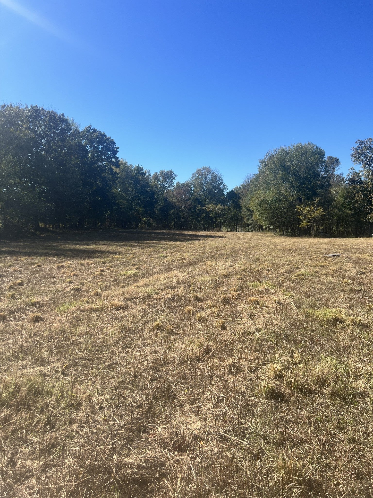 Photo of Listing #3031298