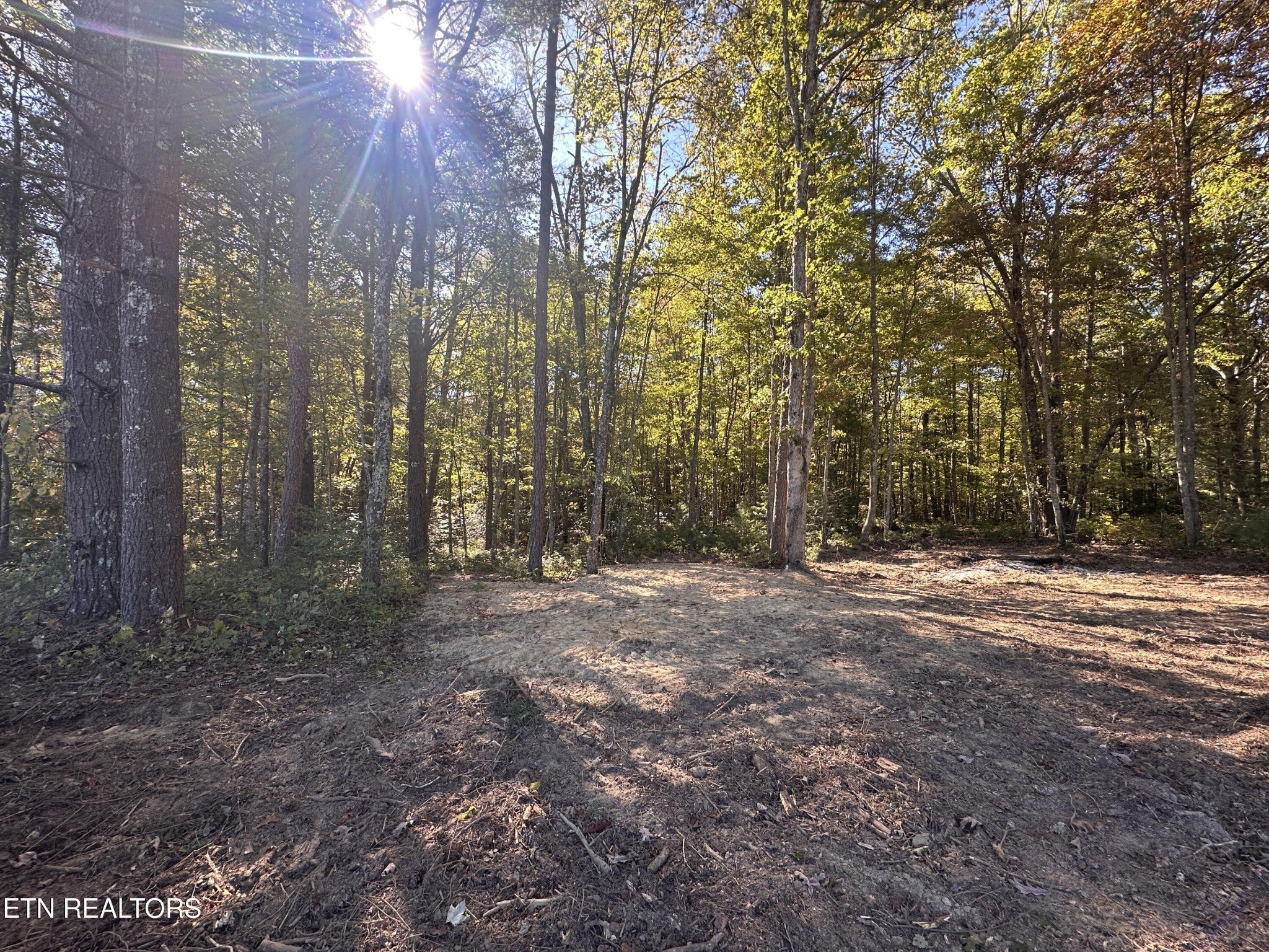 Photo of Listing #3032398