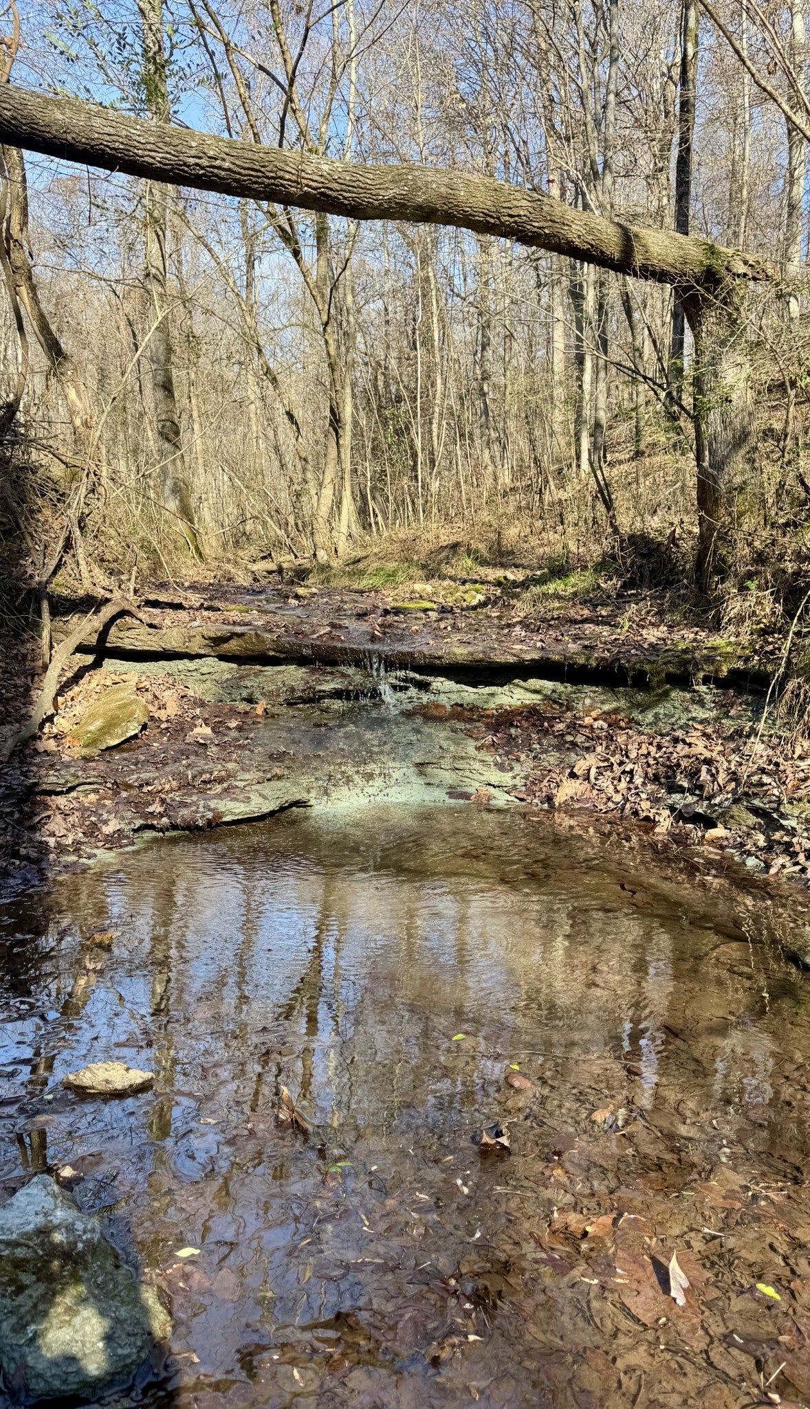 Photo of Listing #3033027