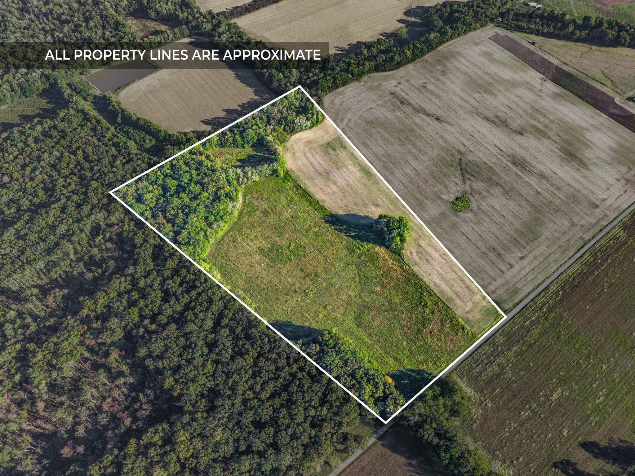 Photo of Listing #3033861