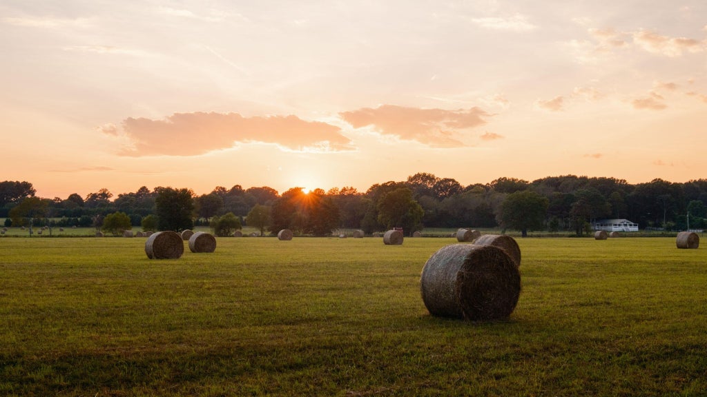 0 Gilliam Road, Gurley