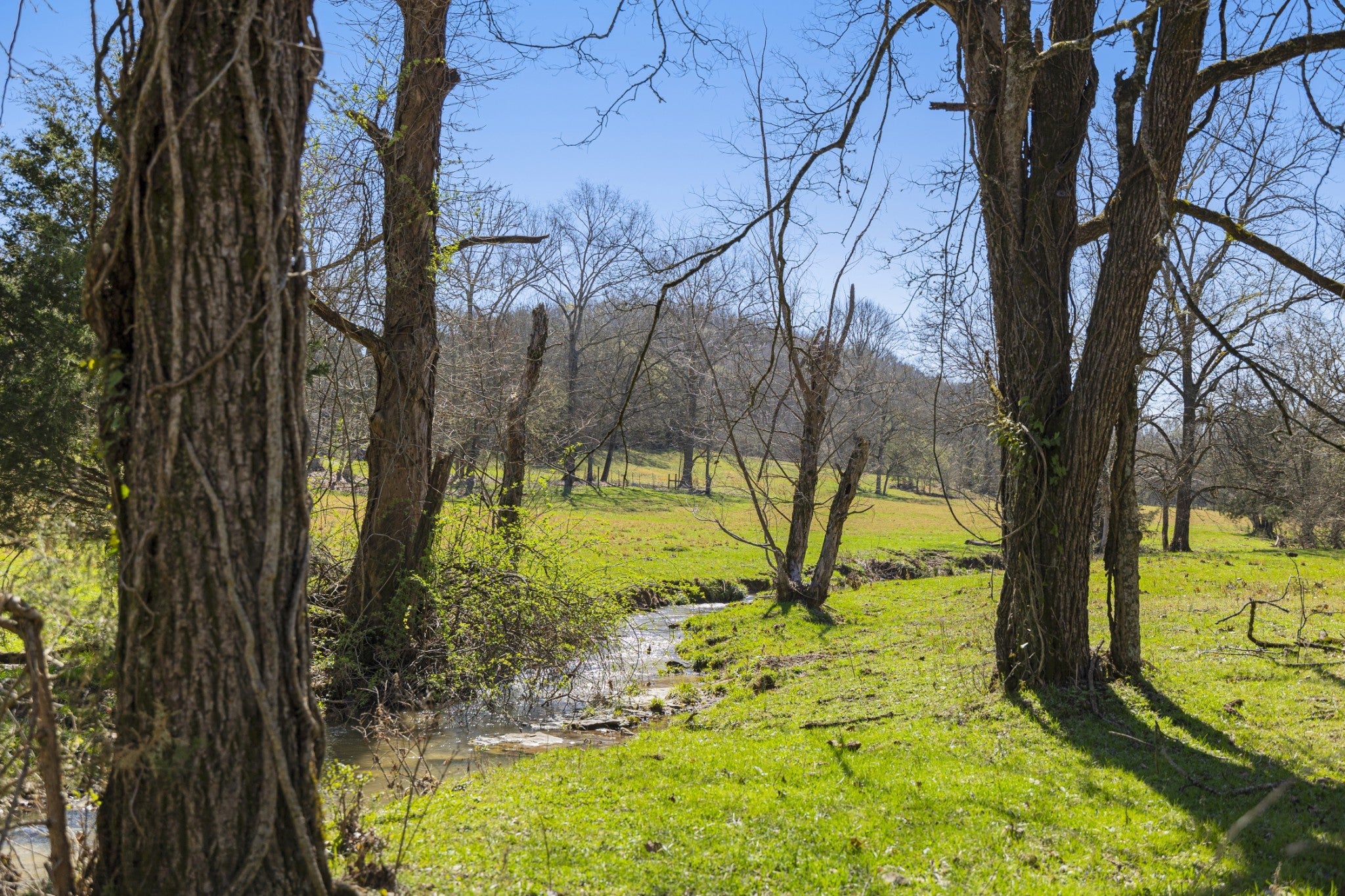 Photo of Listing #3034715