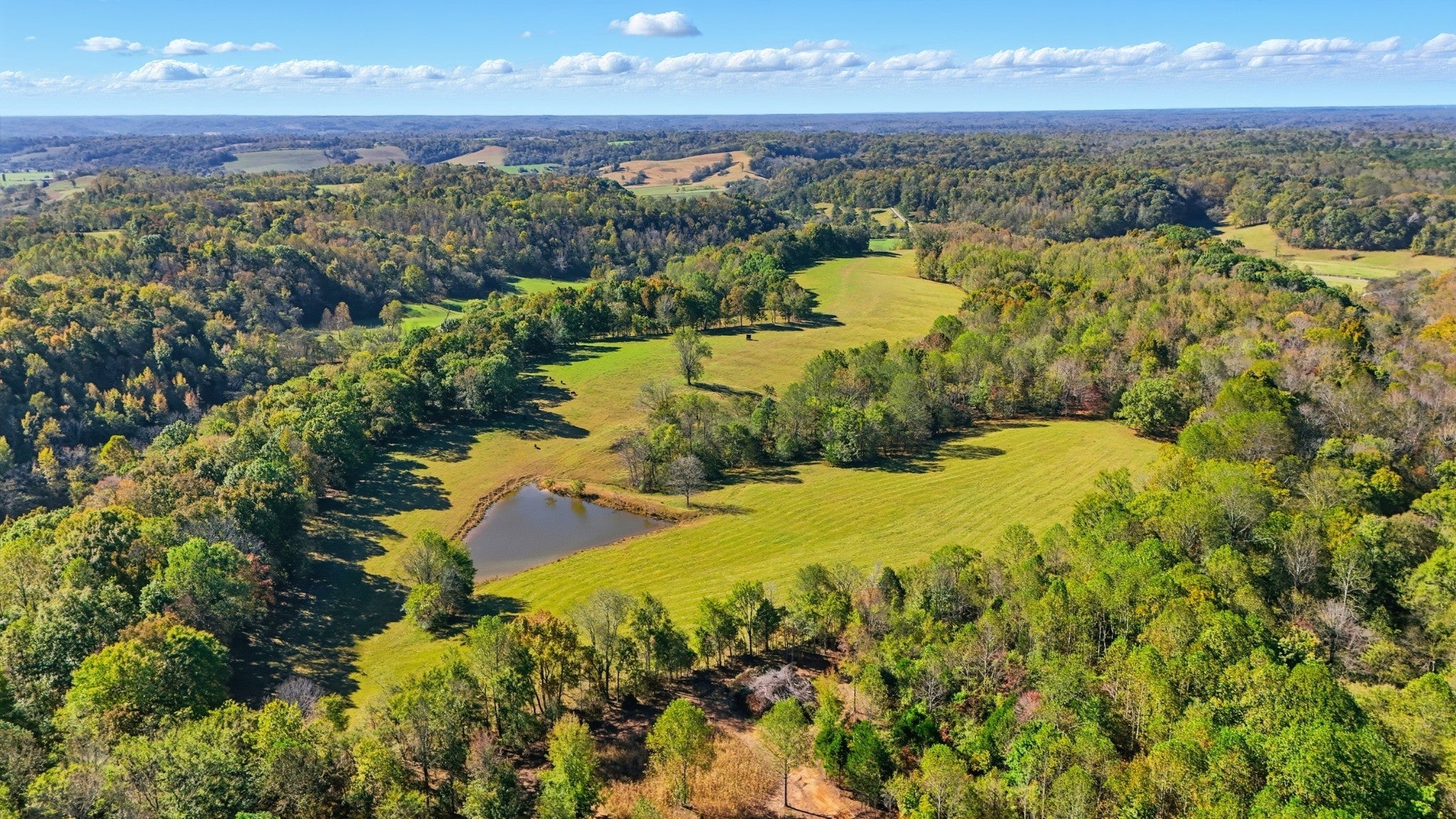 Photo of Listing #3035036