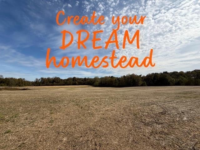 Photo of Listing #3035769