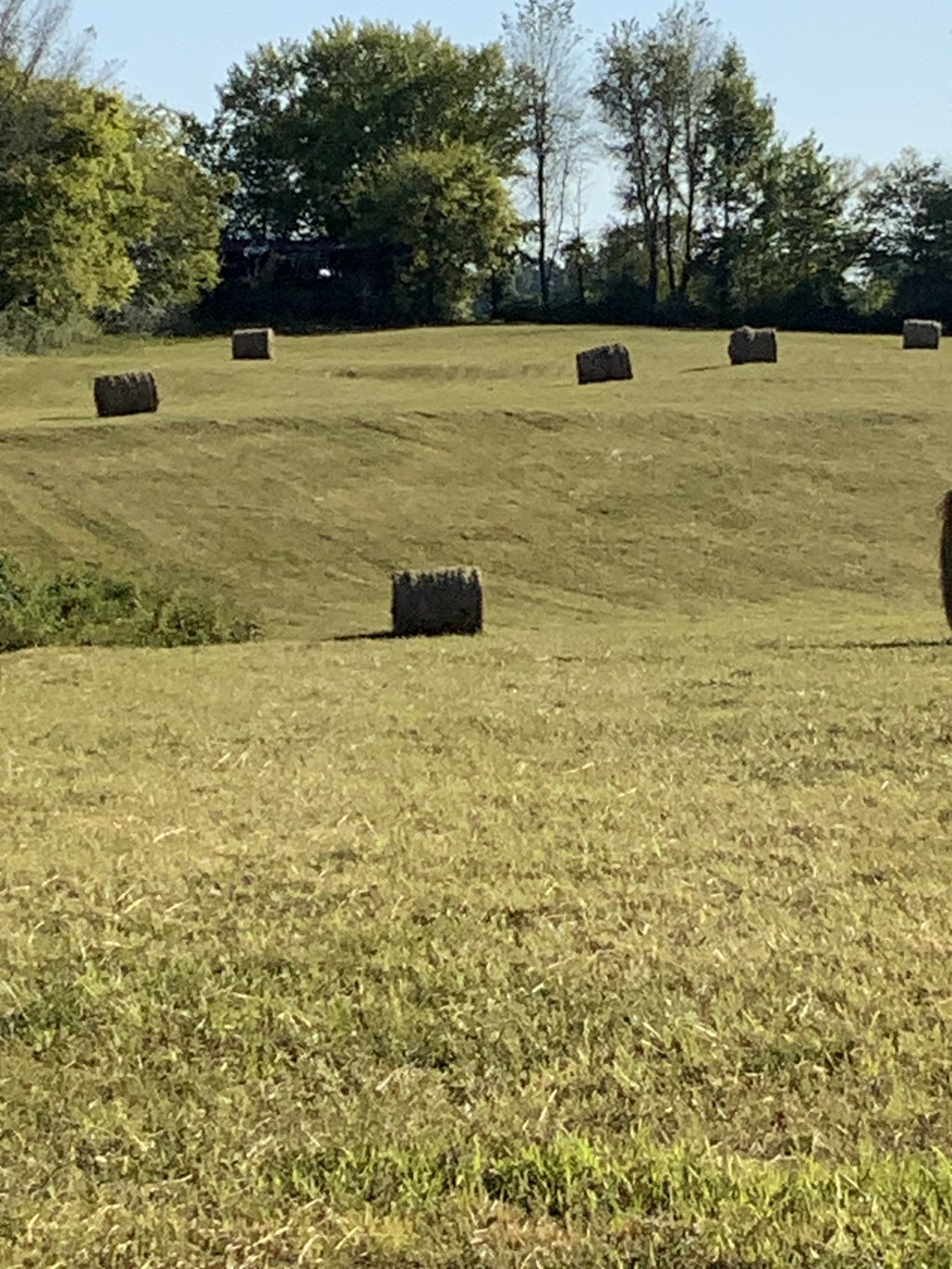 0 Deer Ridge Road, Primm Springs