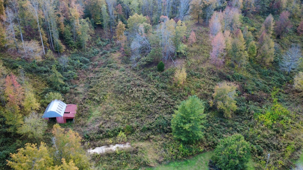 440 Big Spring Hollow Rd, Pulaski