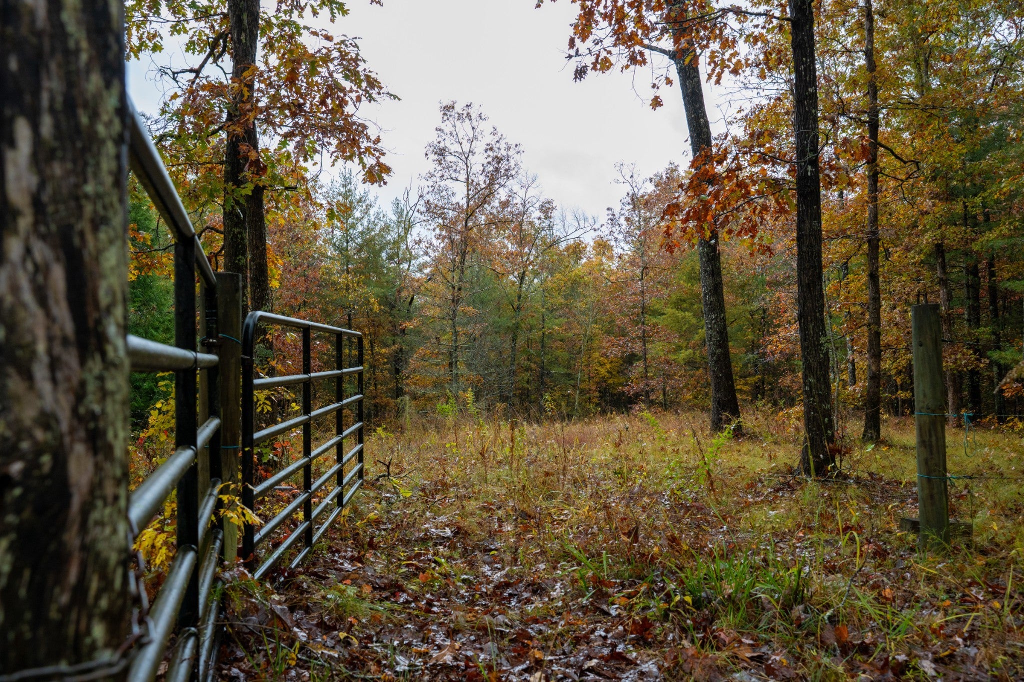 Photo of Listing #3036225