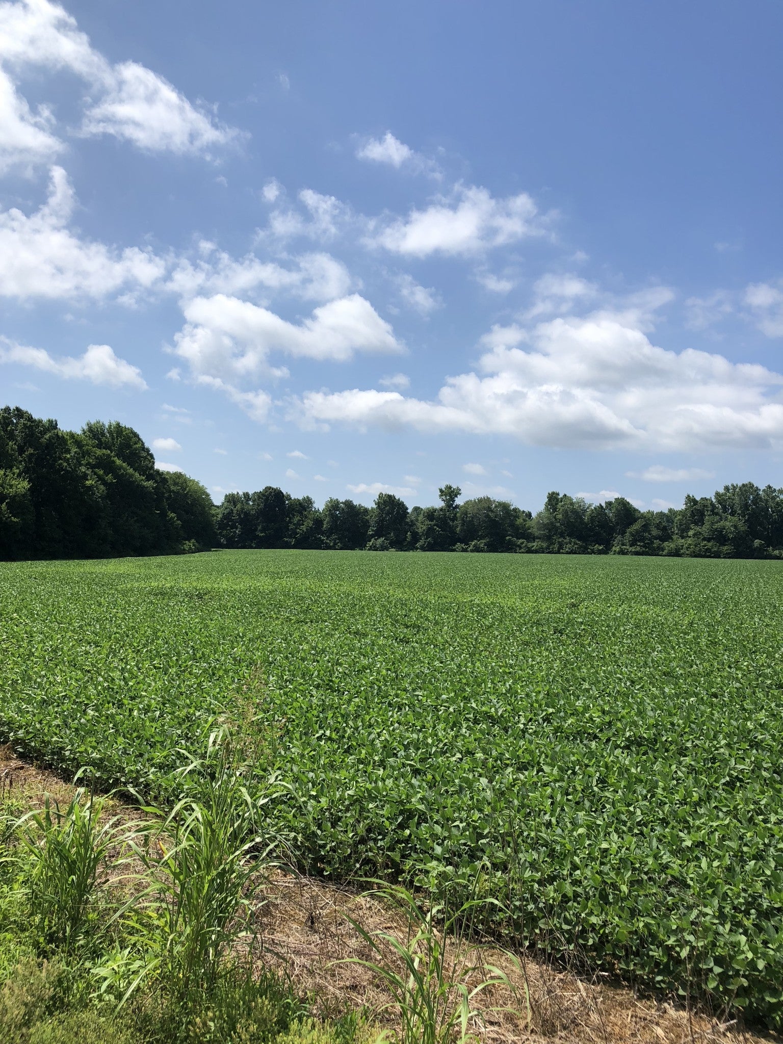 Photo of Listing #3037568