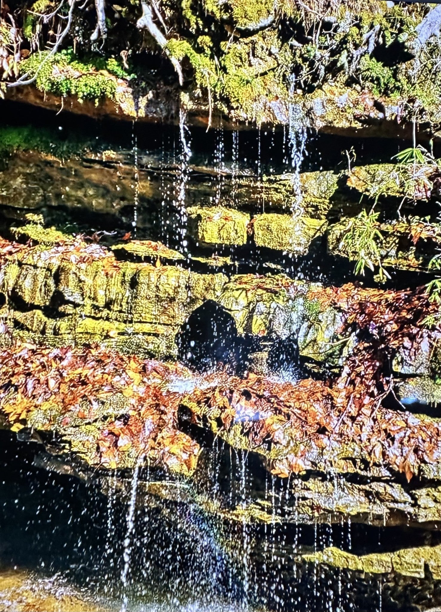 Photo of Listing #3038091