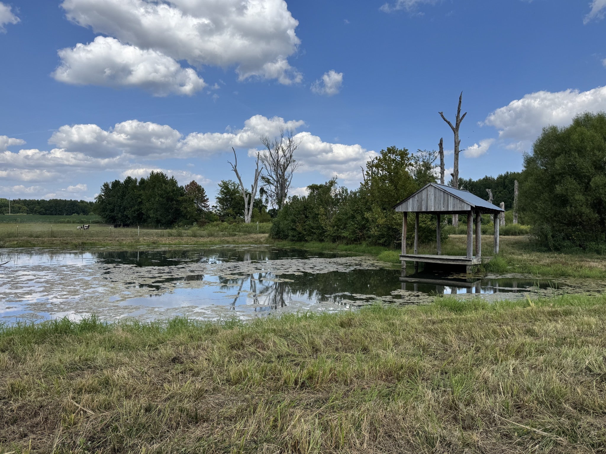 Photo of Listing #3038570