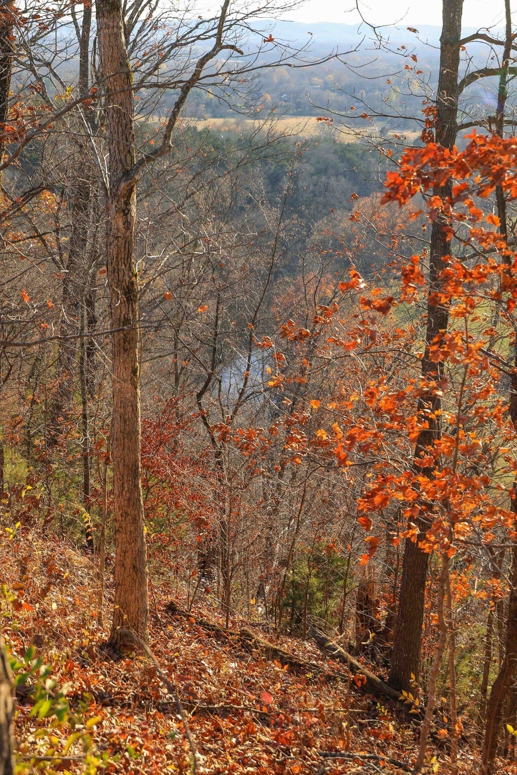 2064 Hillsboro Rd, Franklin