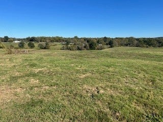 Photo of Listing #3039272