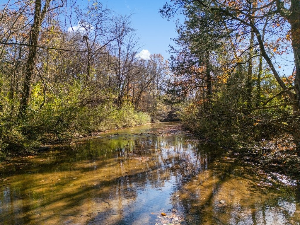 Photo of Listing #3041469