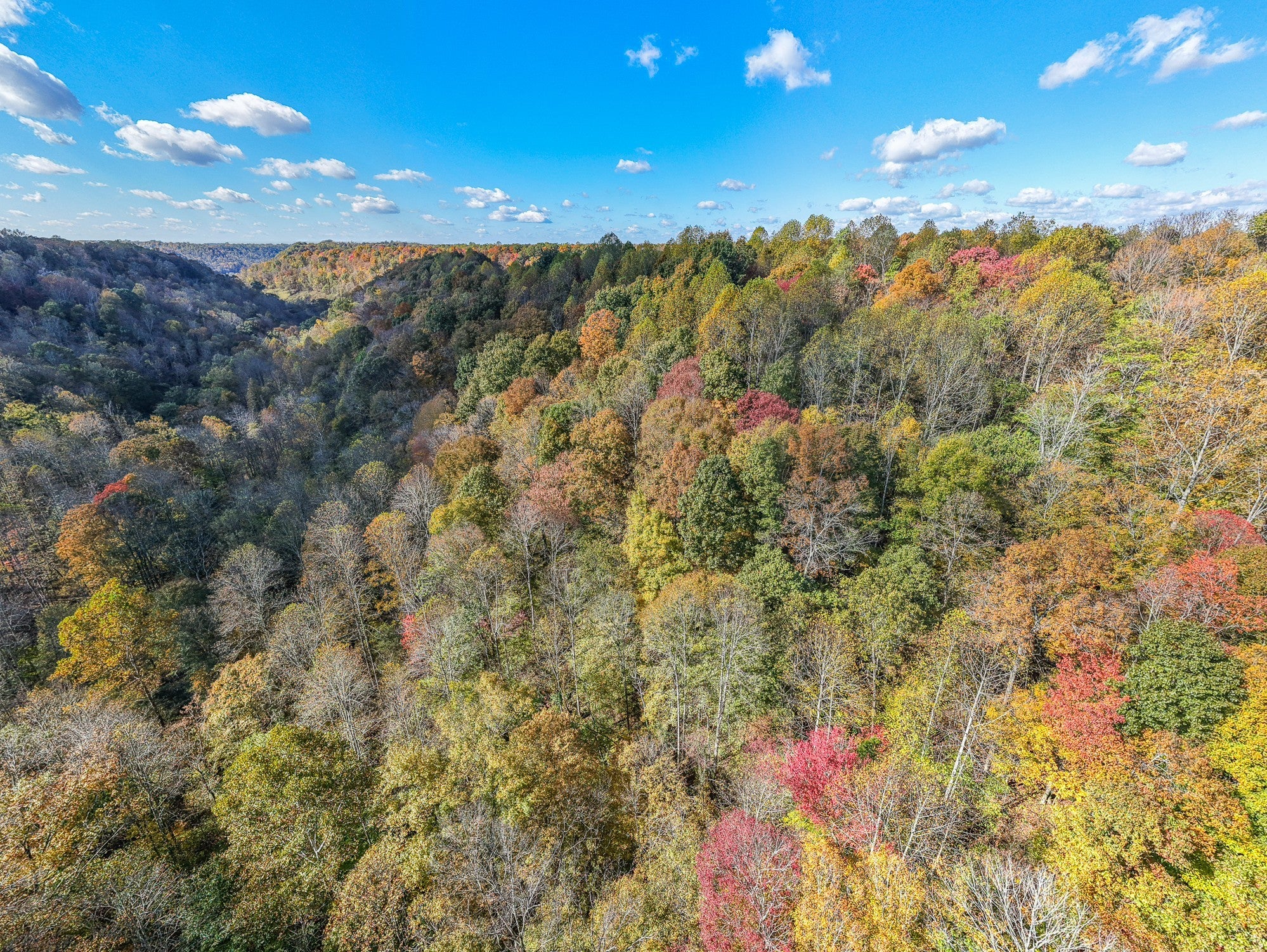 Photo of Listing #3041721