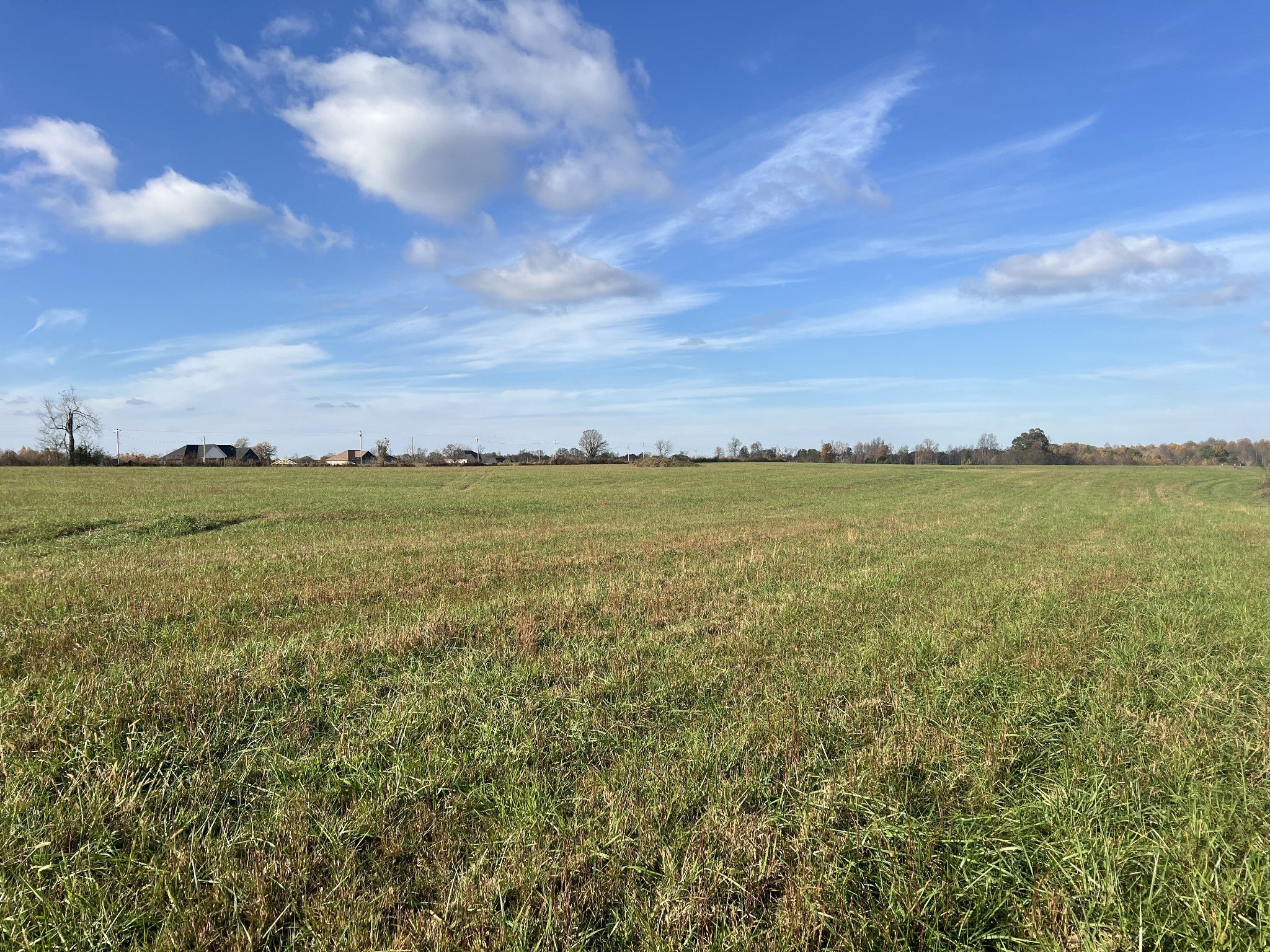 Photo of Listing #3043540