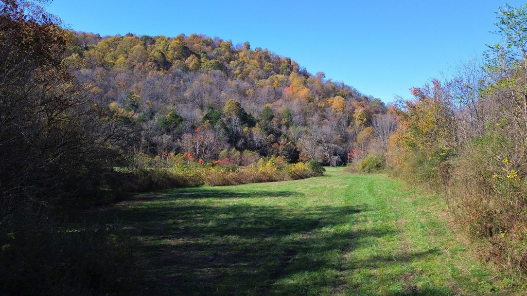 0 Hollis Creek Rd S, Woodbury