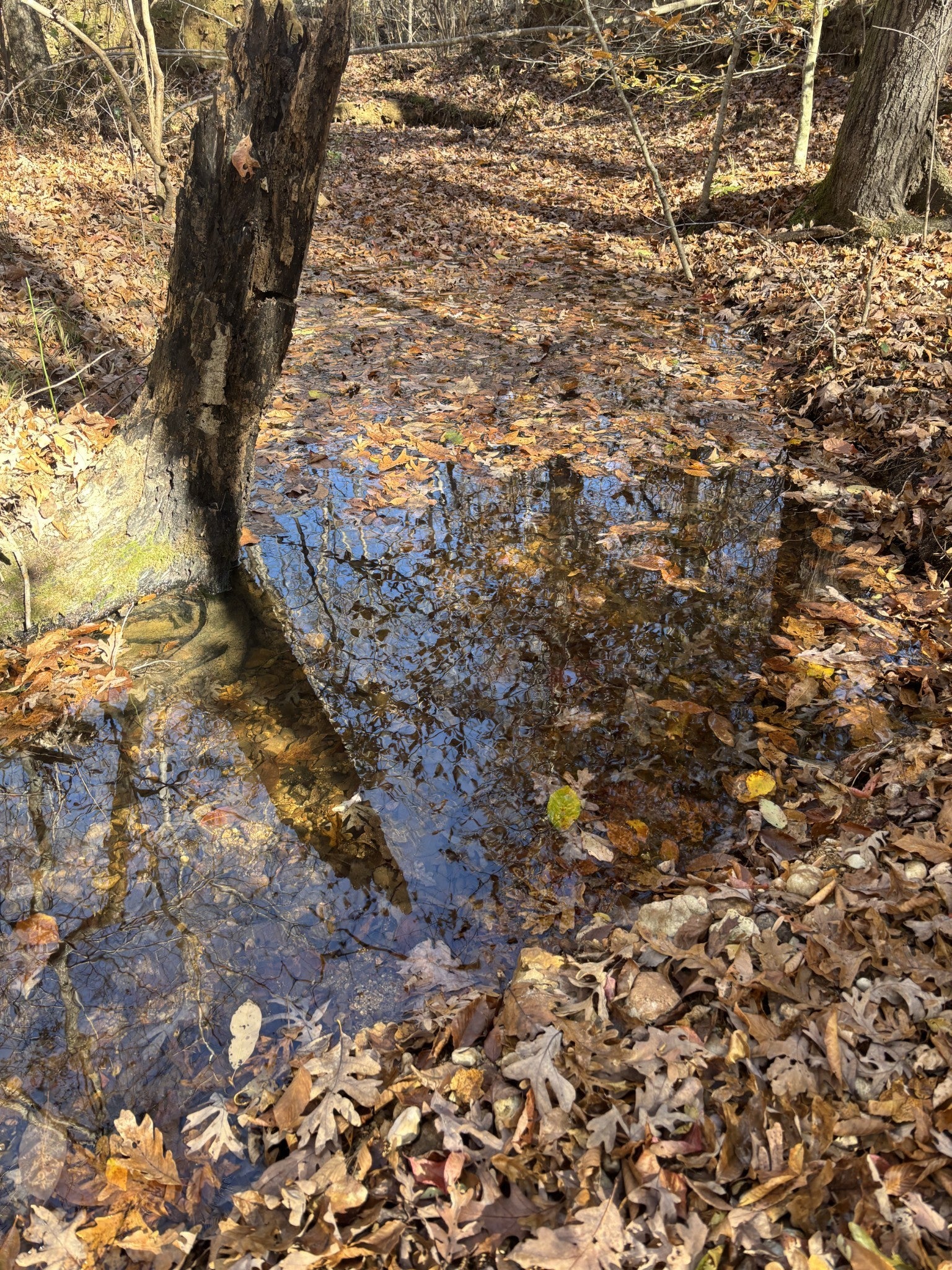 Photo of Listing #3047465