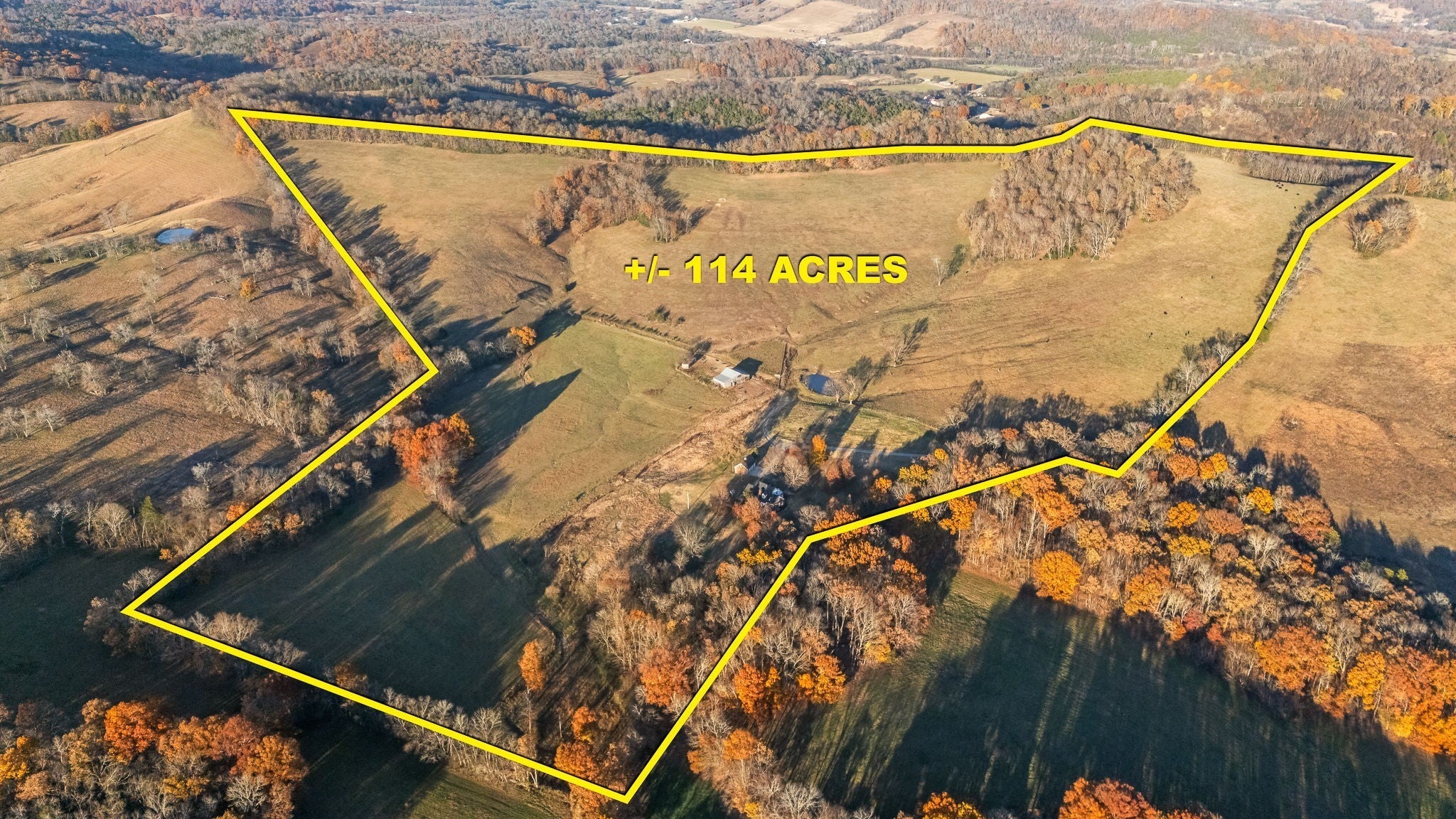 Photo of Listing #3048863