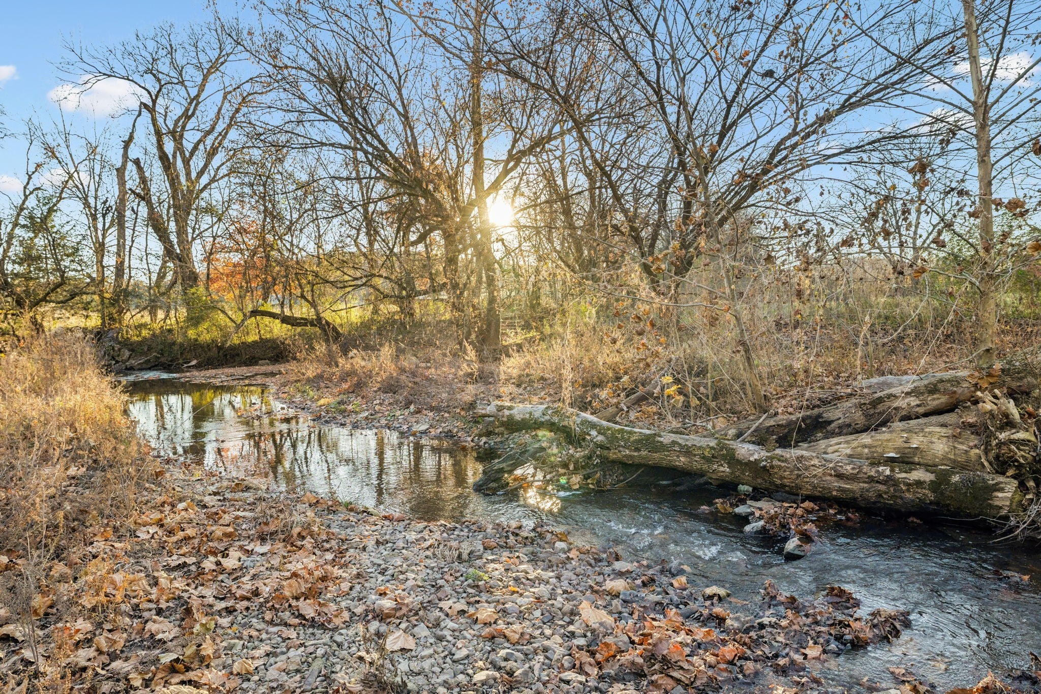 Photo of Listing #3048984