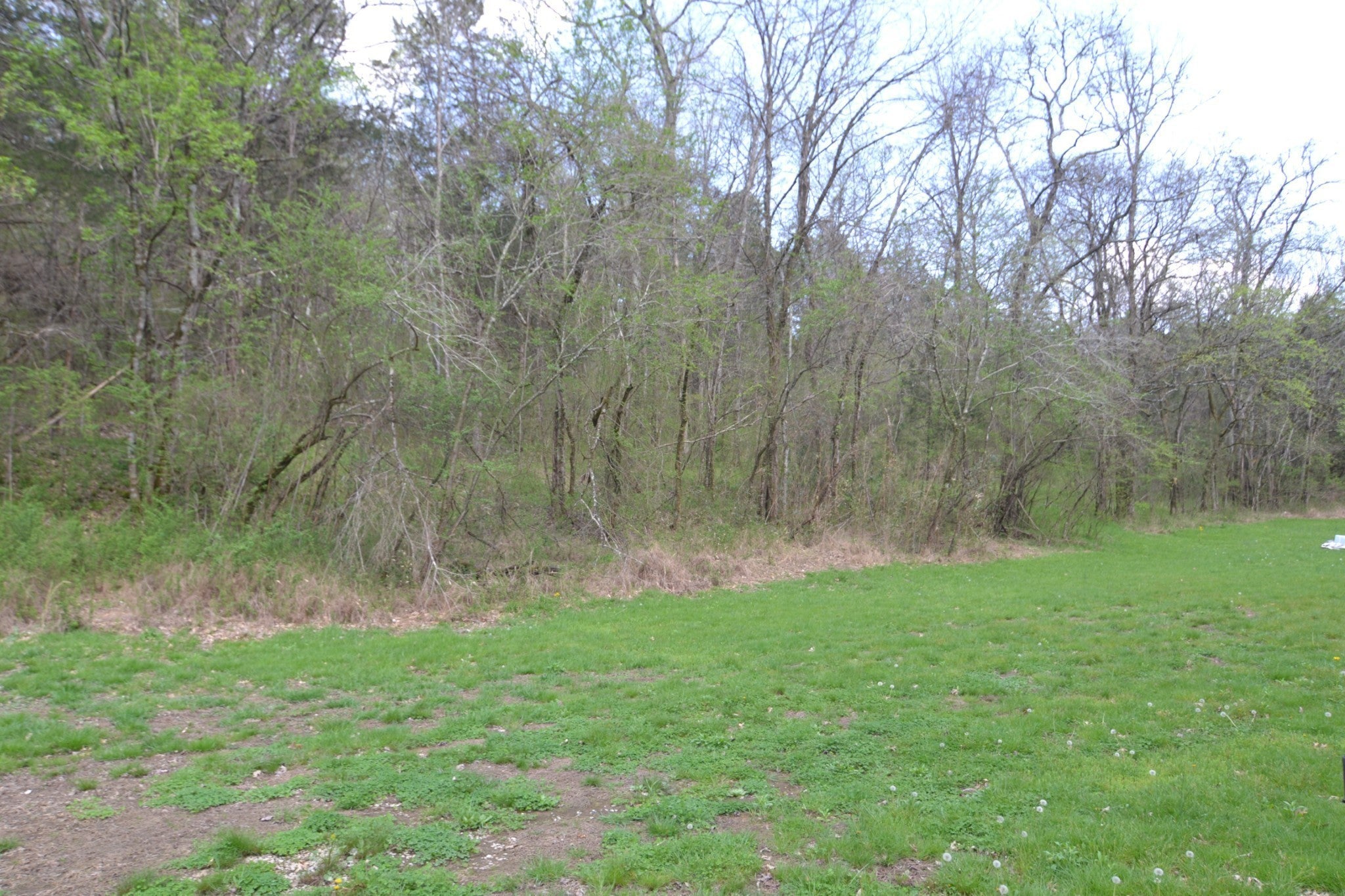 Photo of Listing #3049001