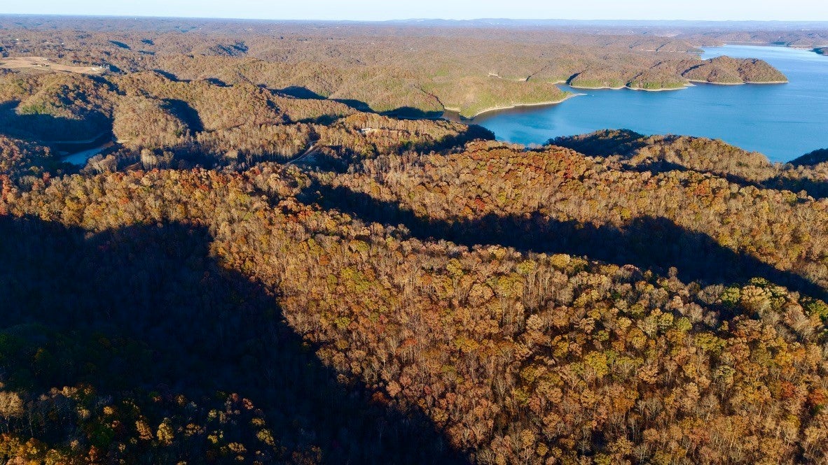 Photo of Listing #3049751