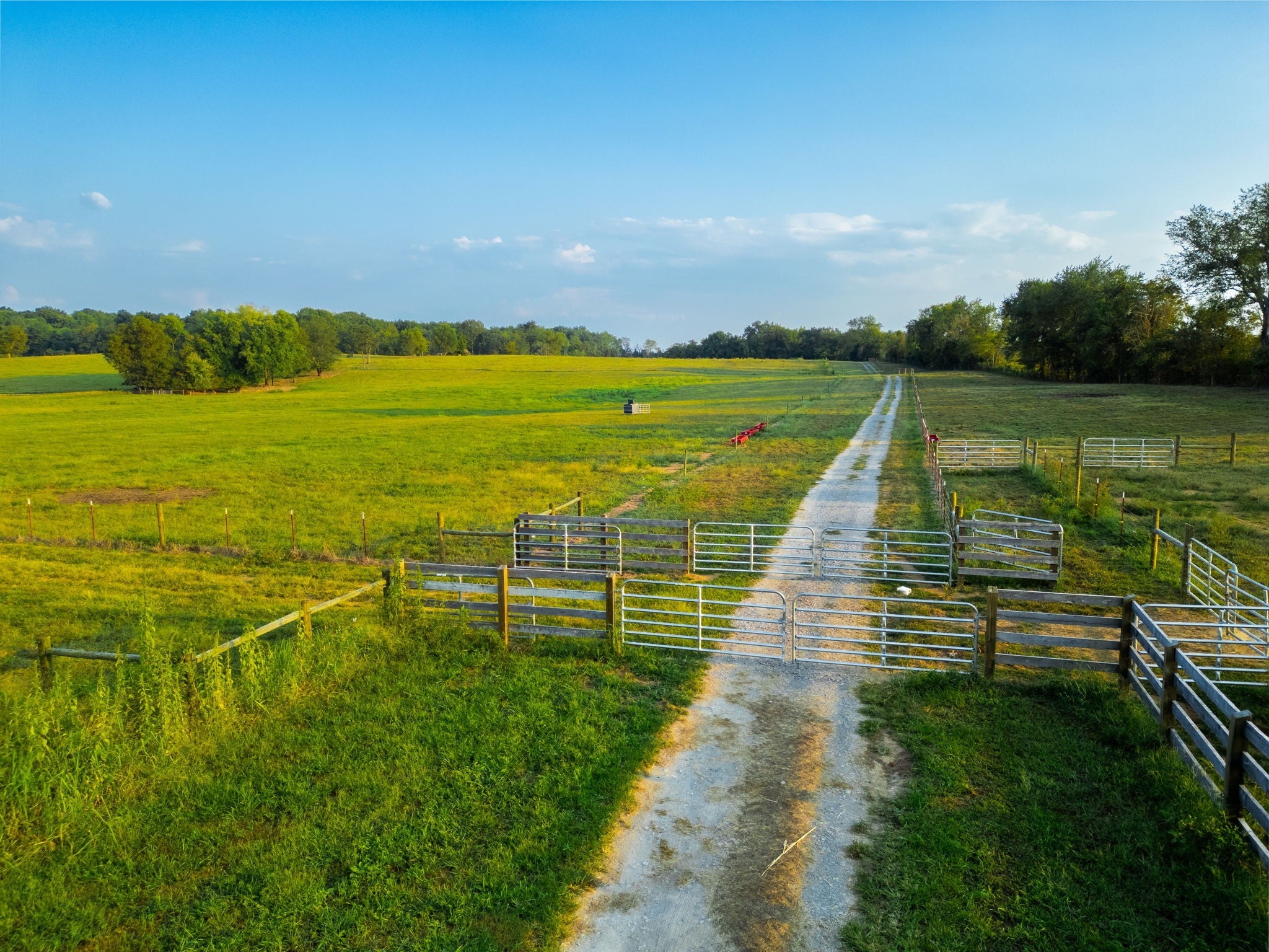 Photo of Listing #3050777