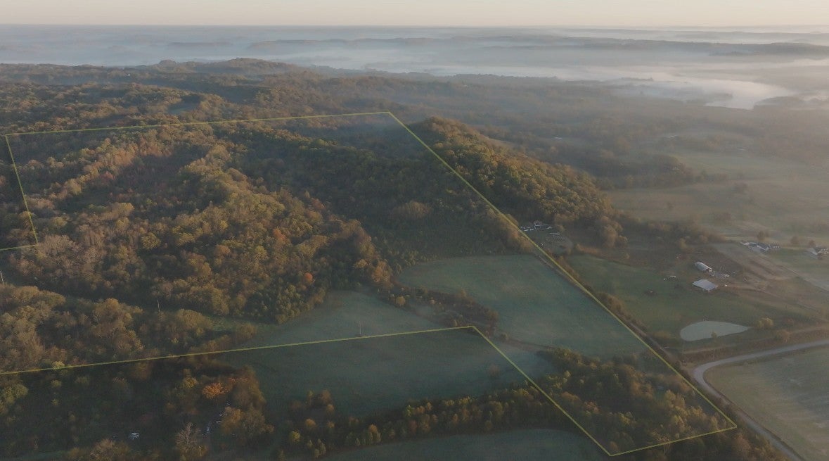 Photo of Listing #3054418