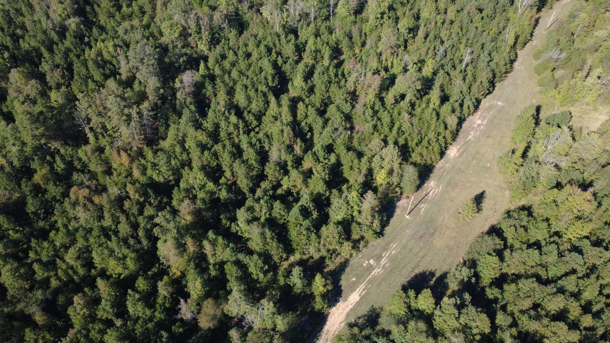 Photo of Listing #3057200