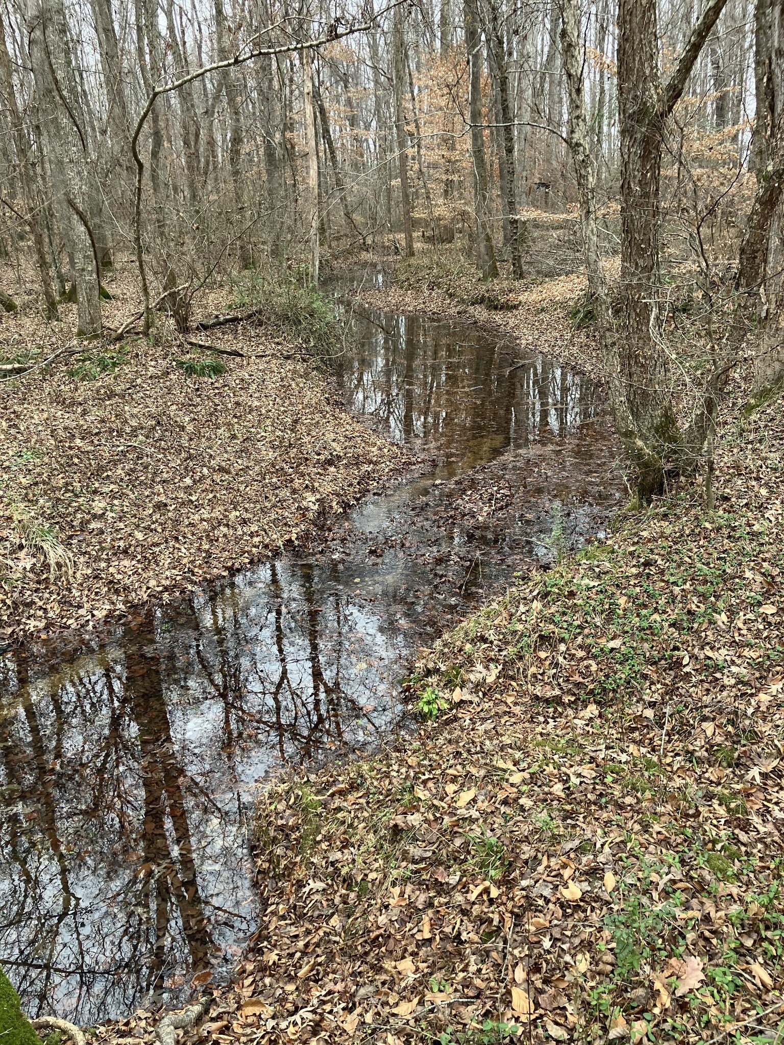 Photo of Listing #3057852