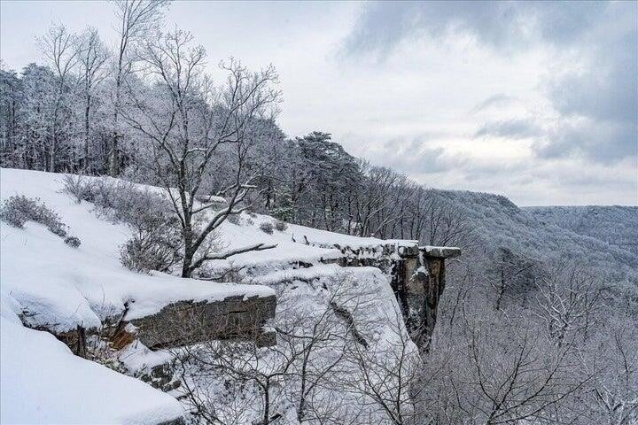 Photo of Listing #3059008