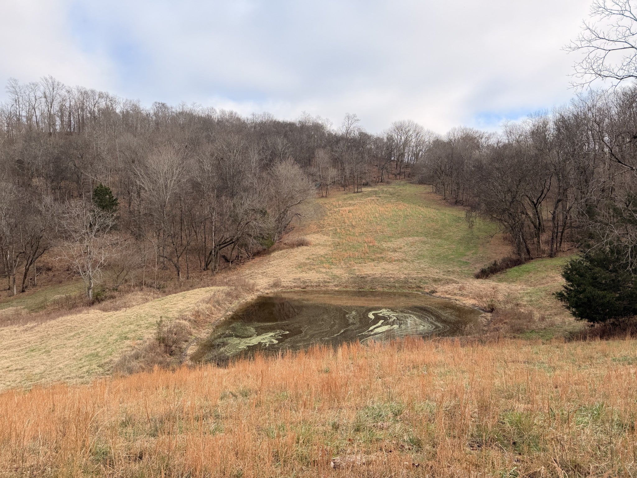 Photo of Listing #3059361